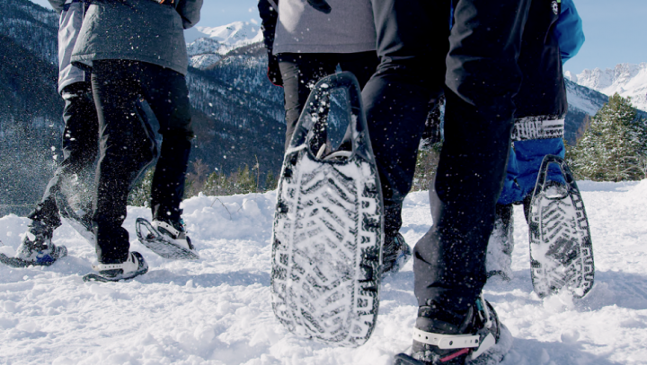 EVVO snow shoe